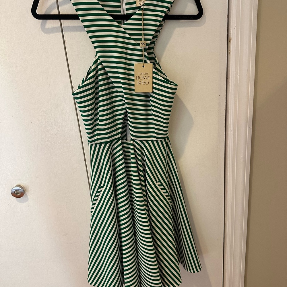 Torn by Ronny Kobo Green and White Striped Backless Dress